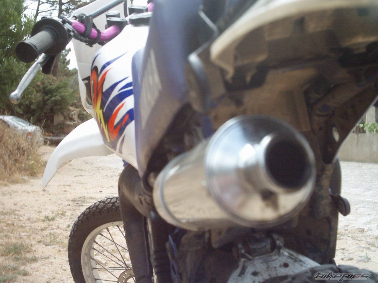 Photo 167509