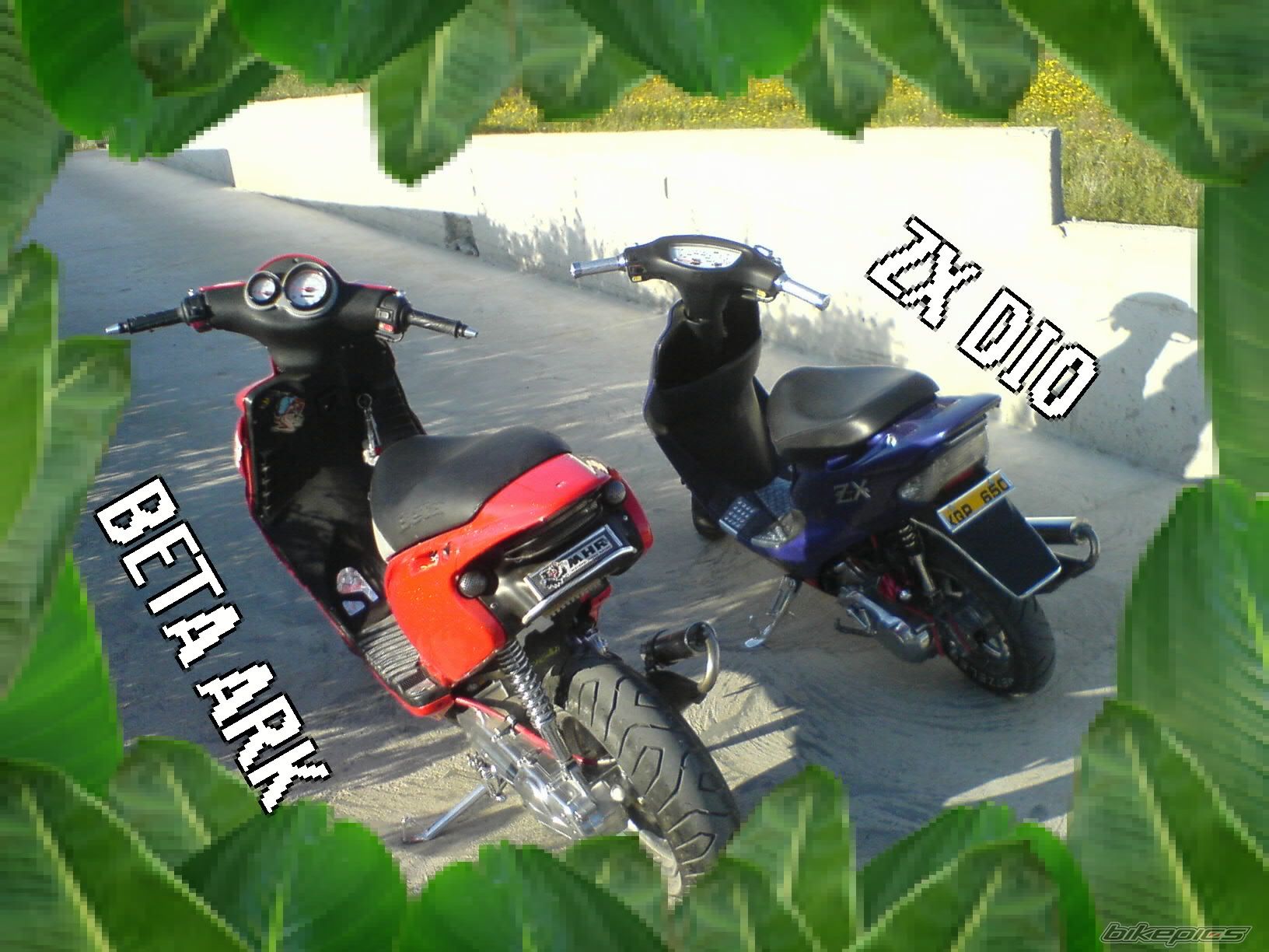 Bike Photo 1675091
