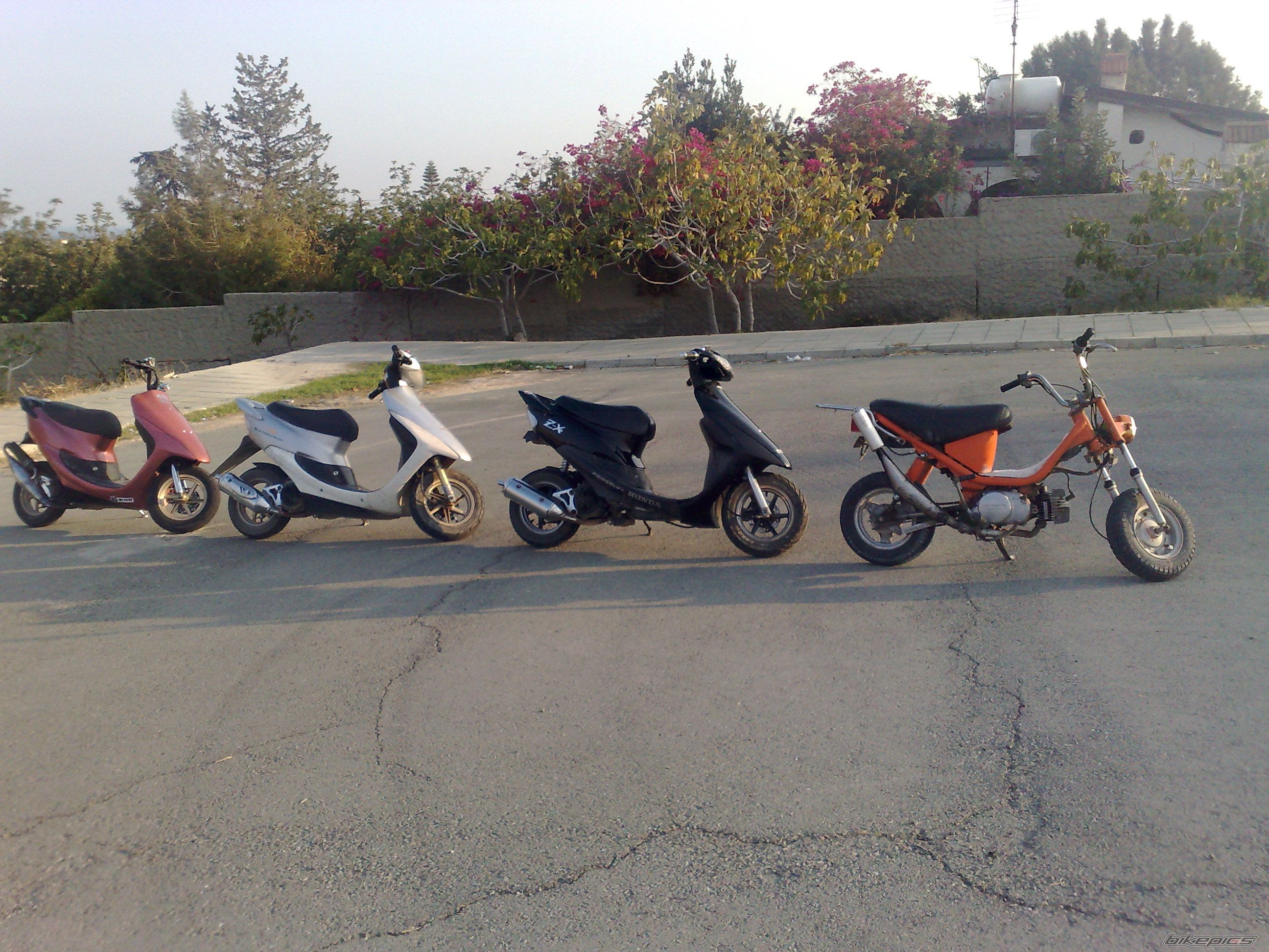 Photo 1675104