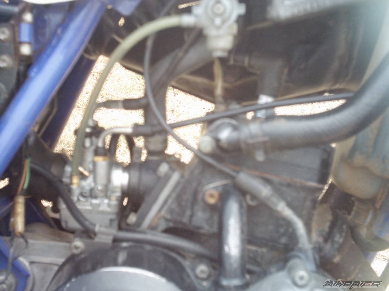 Photo 167512