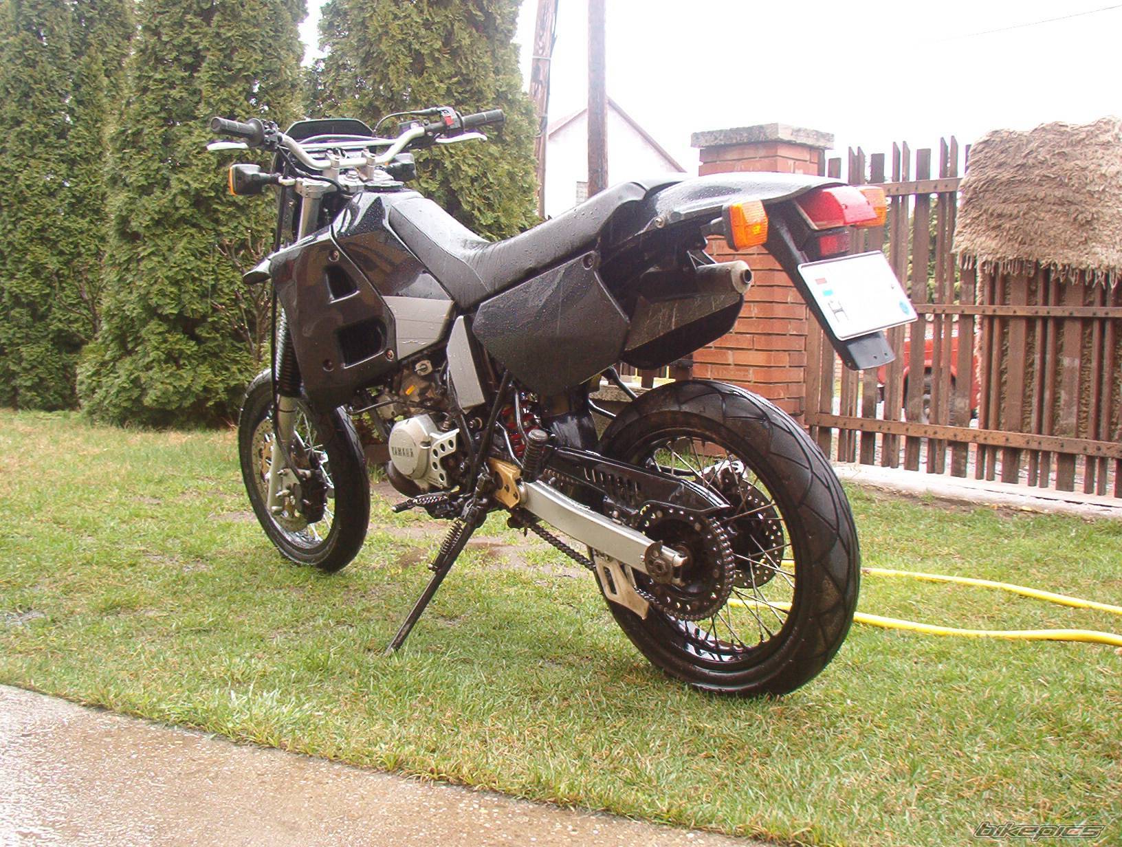 Photo 167513