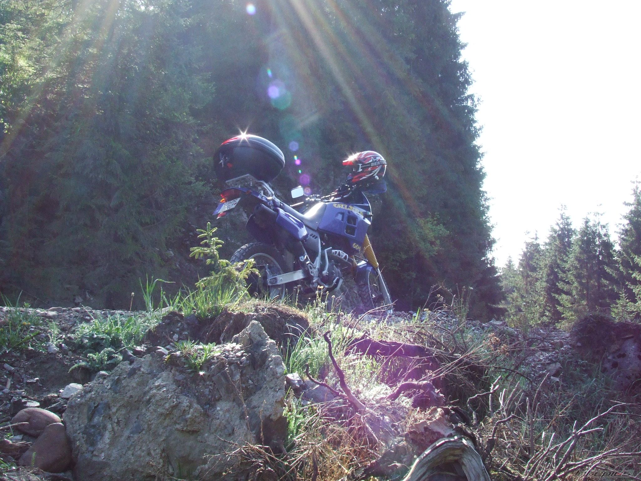 Photo 1675141