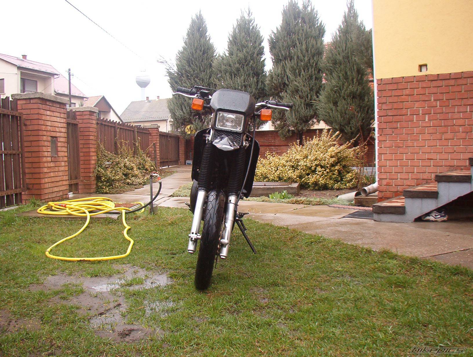 Photo 167515