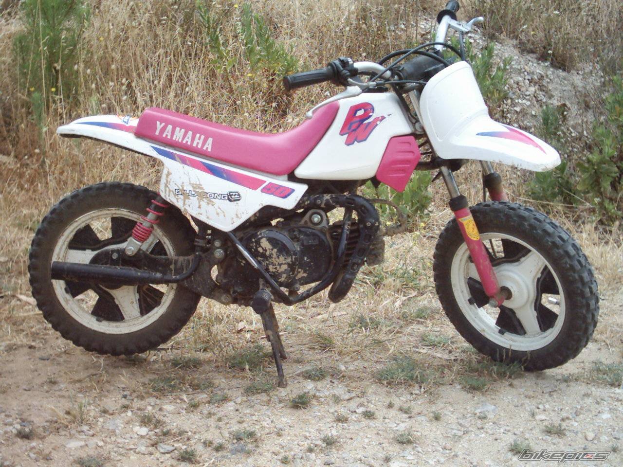 Photo 167517