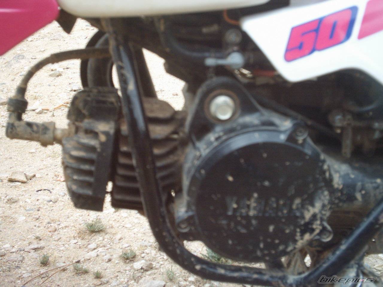 Photo 167519