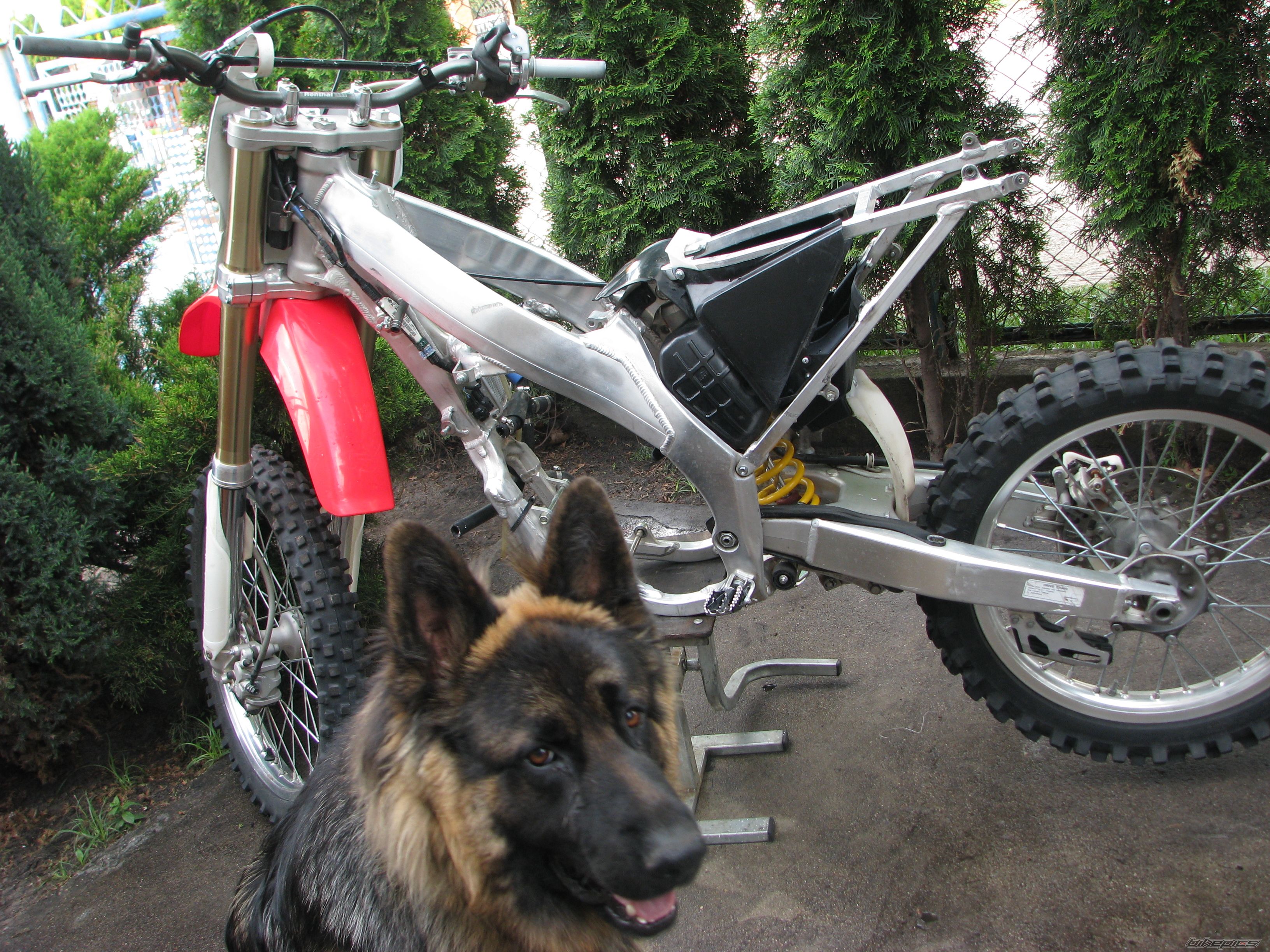 Photo 1675195