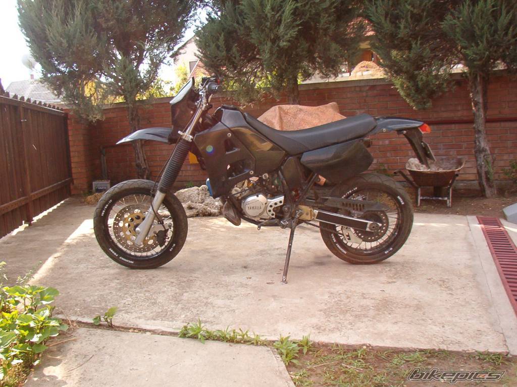Photo 167522