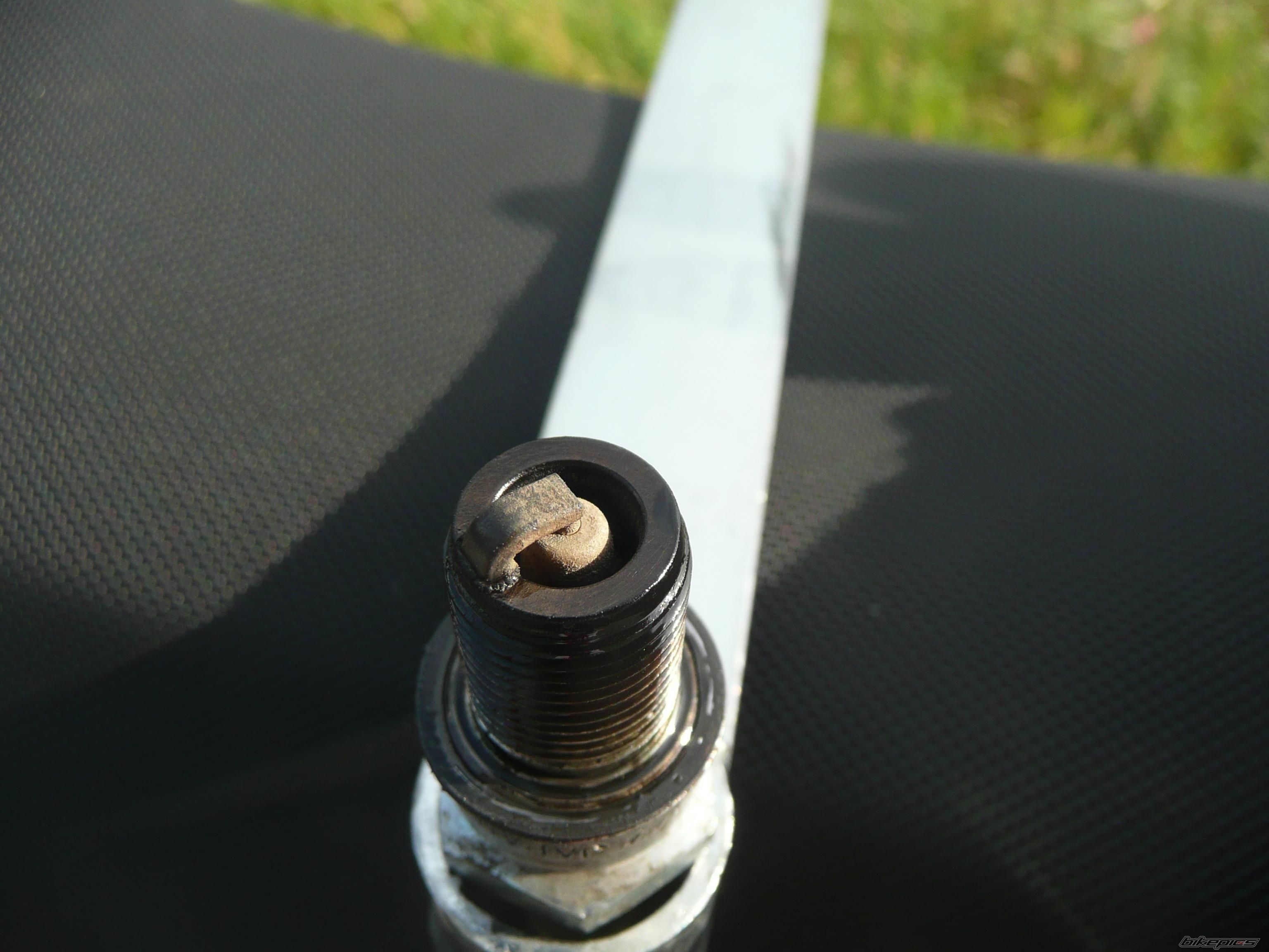 Photo 1675313
