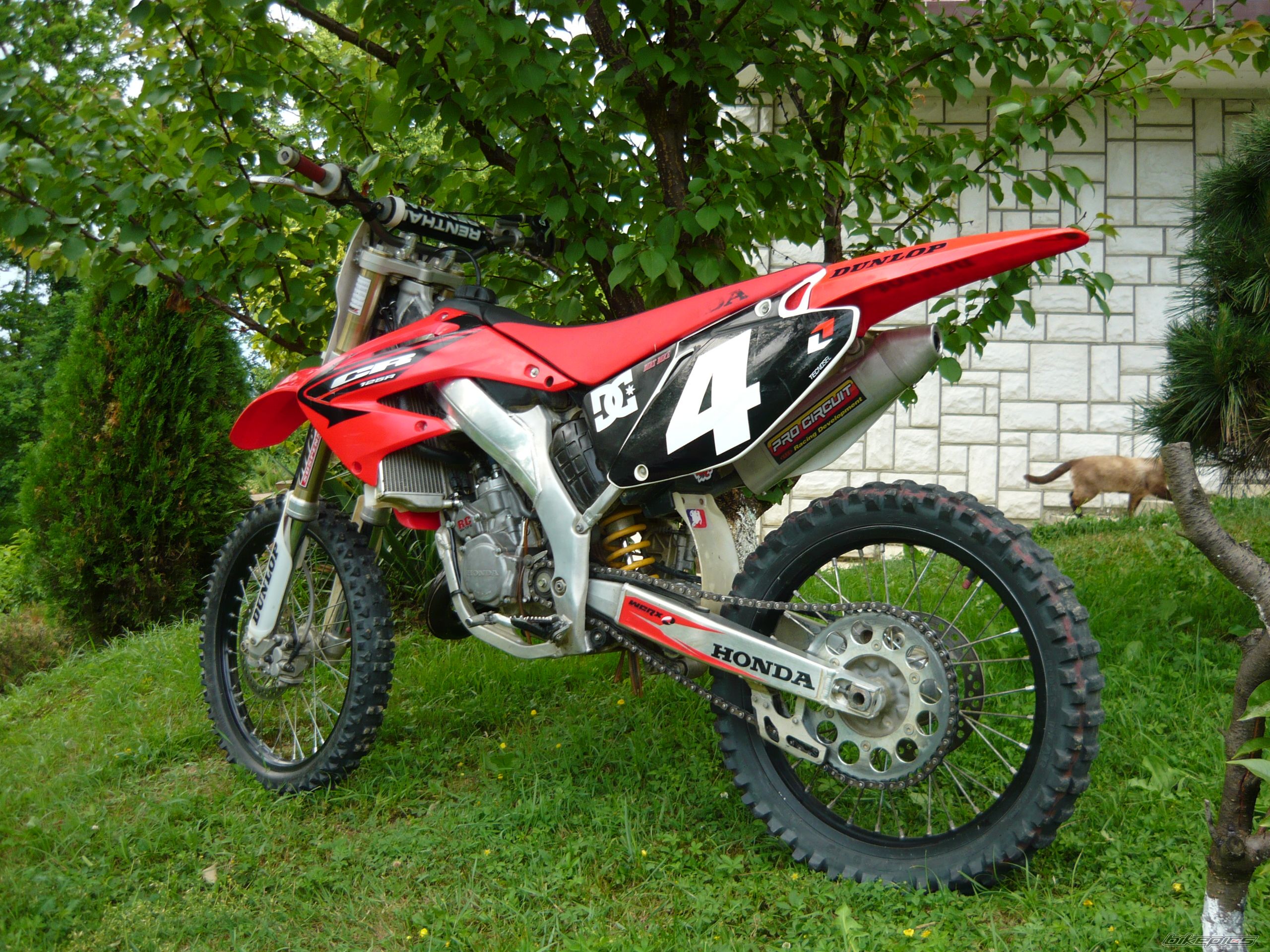 Photo 1675465