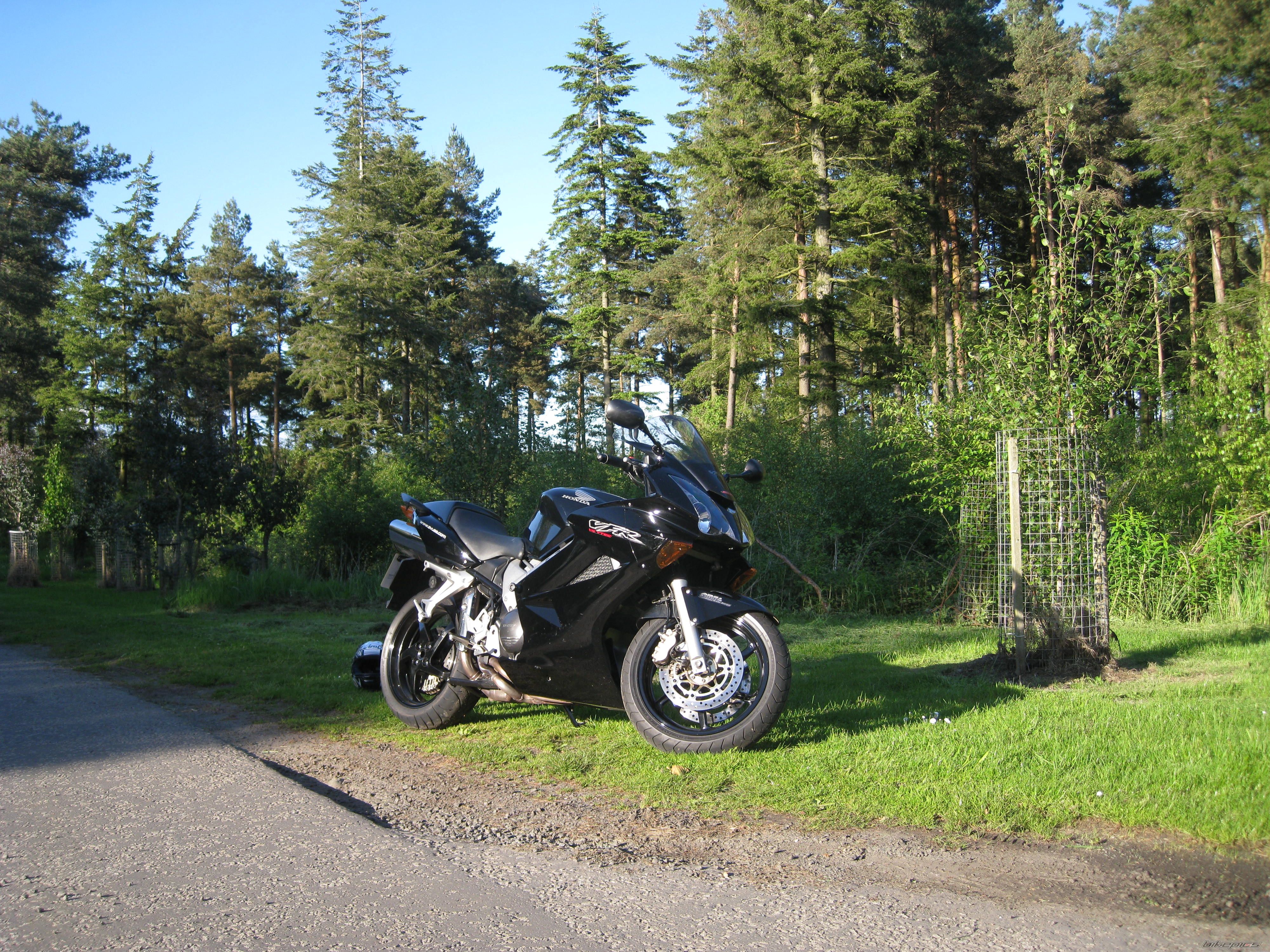 Photo 1675509