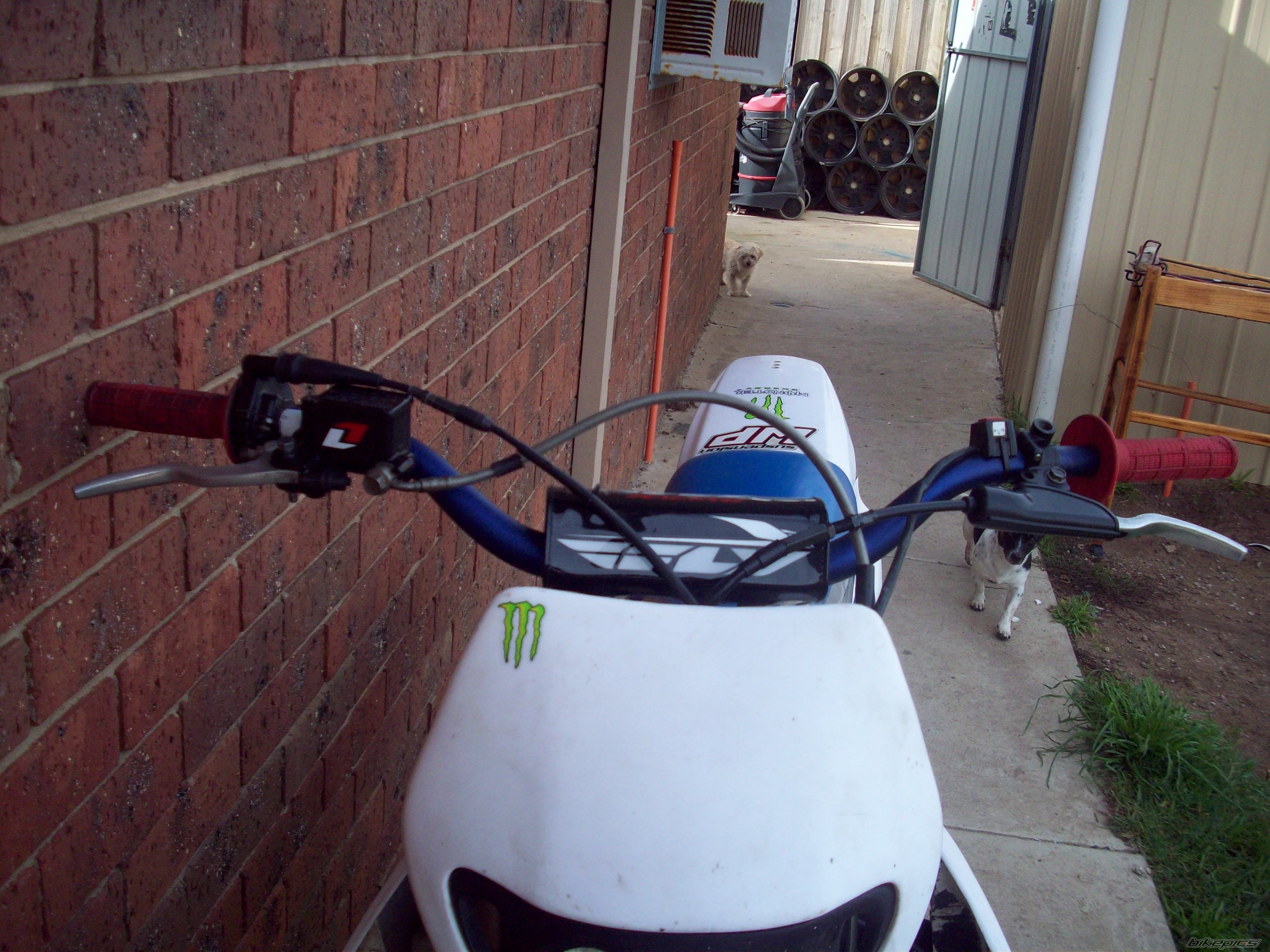 Photo 1675661