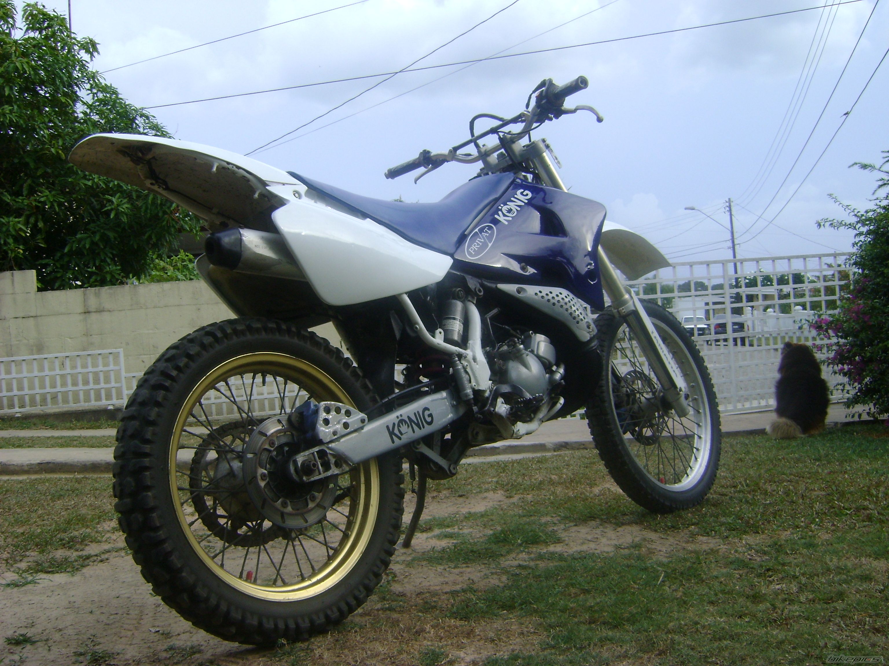 Photo 1675698