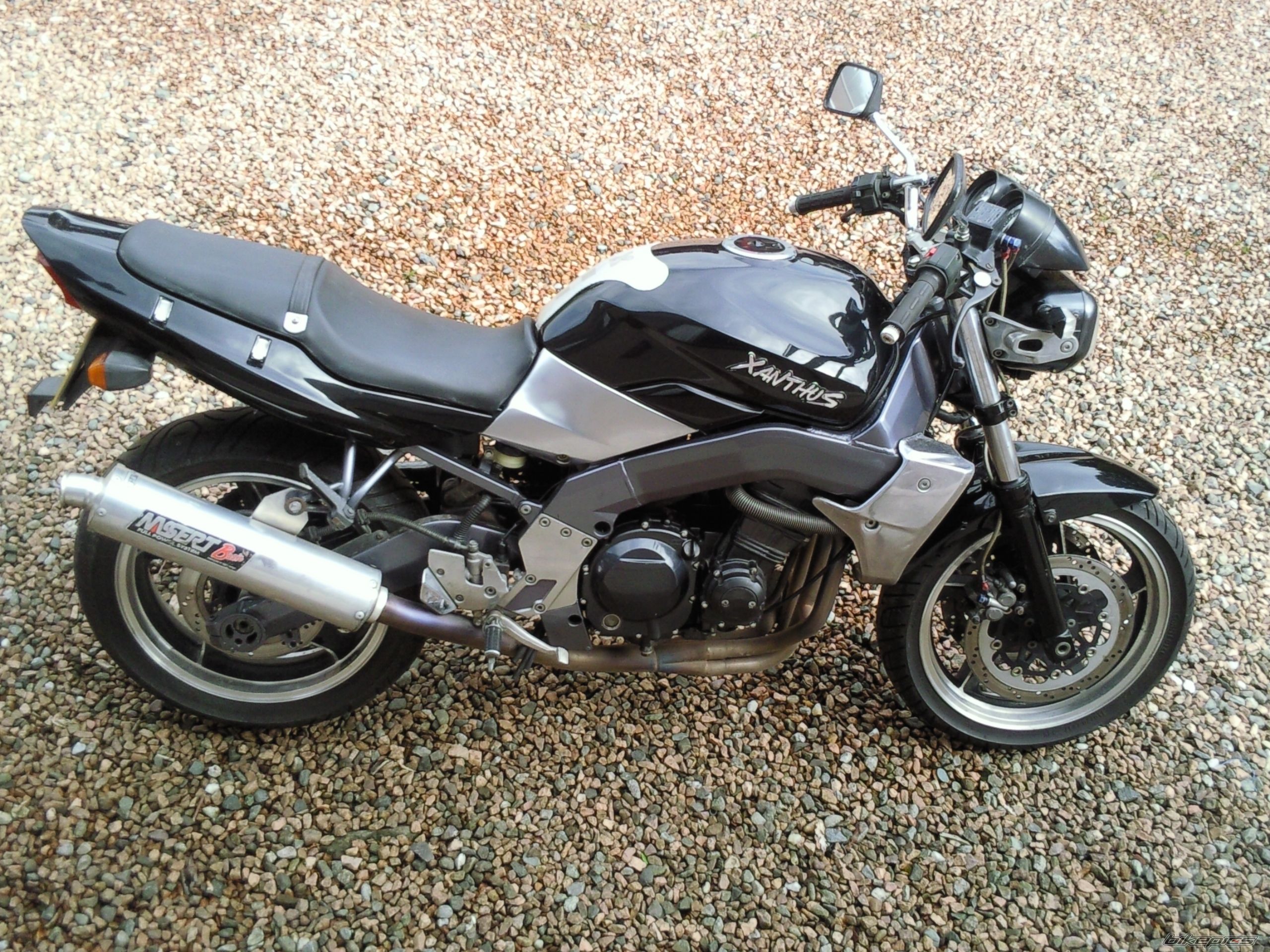 Photo 1675738