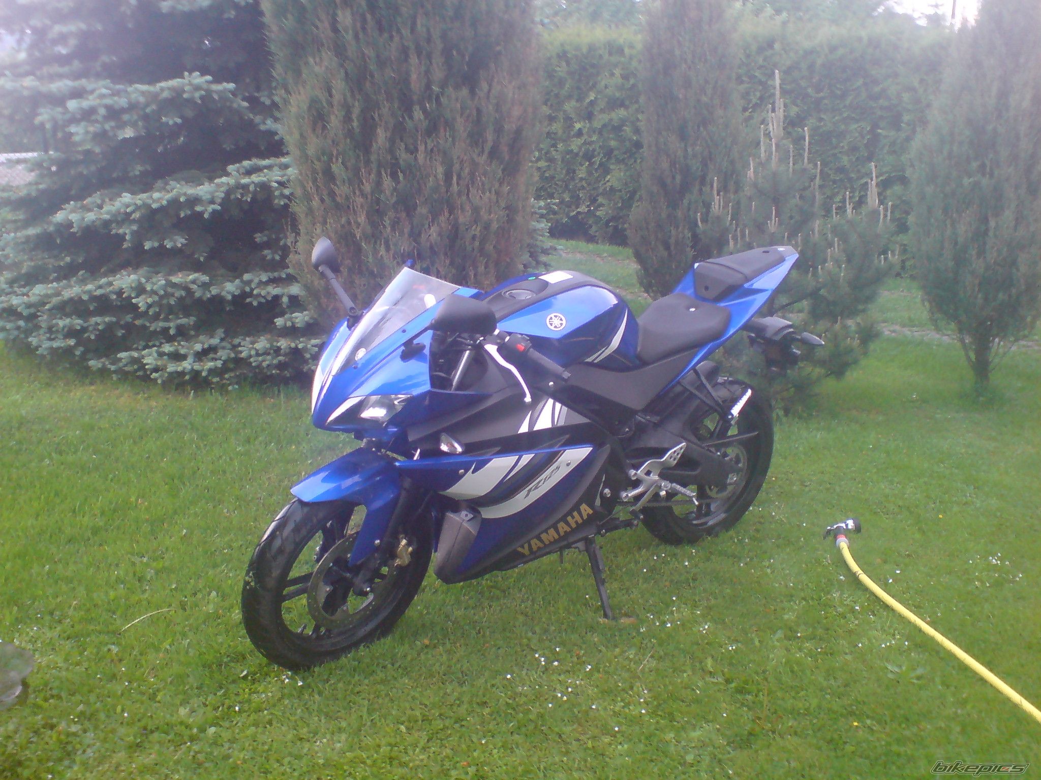 Photo 1675751