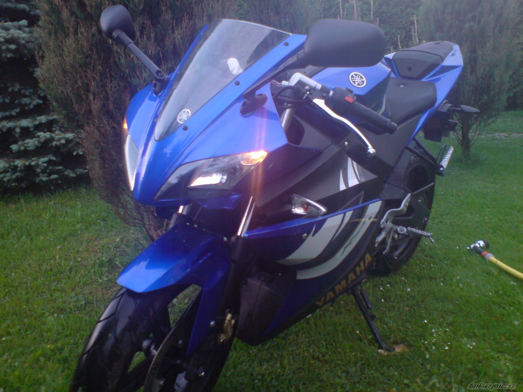 Photo 1675753
