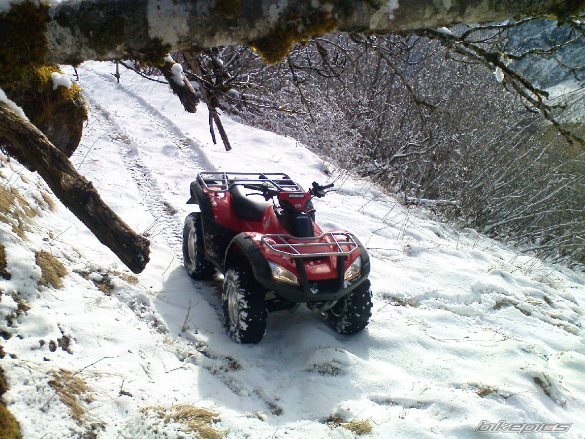 Photo 1675920
