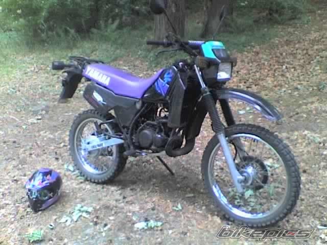 Photo 1675923