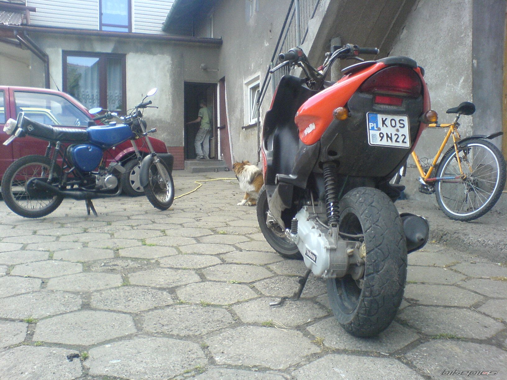 Photo 1676064