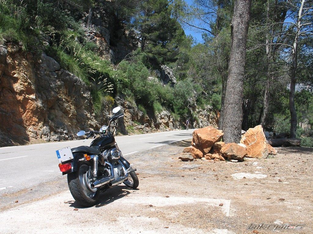 Bike Photo 1676127