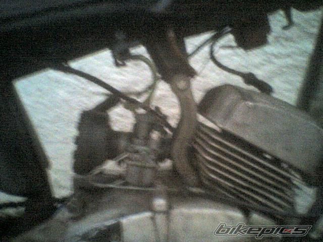 Photo 1676211