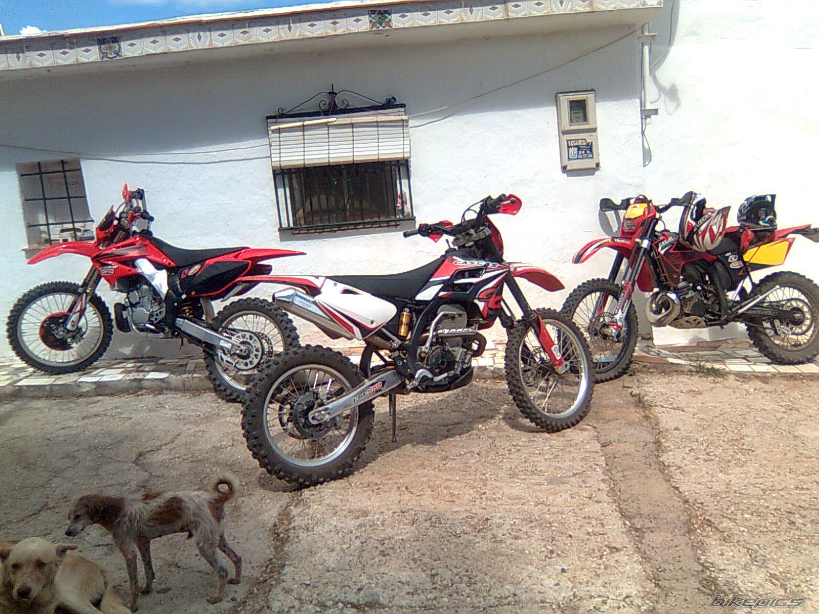Photo 1676280