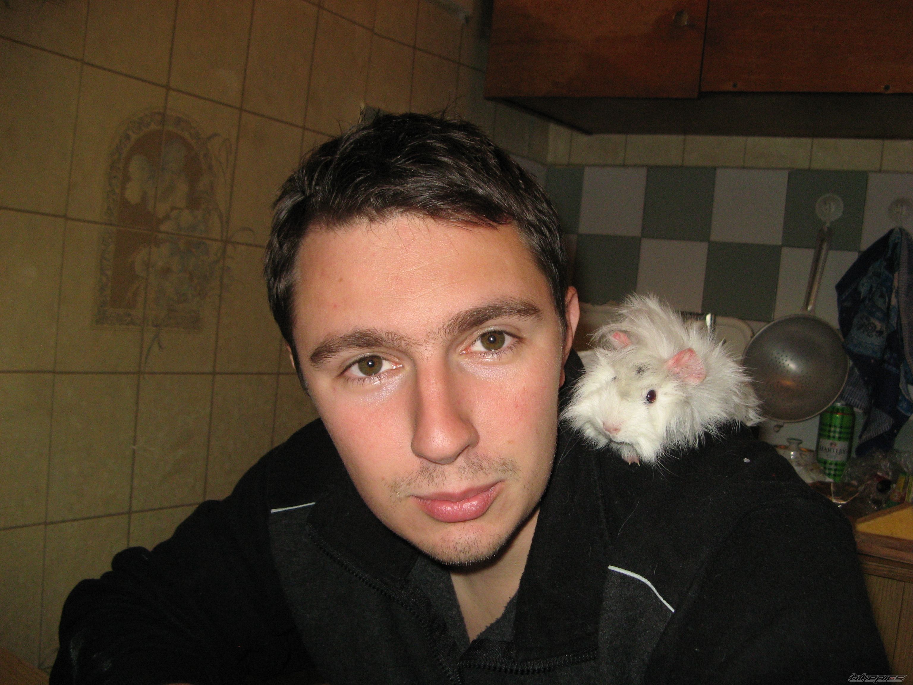 Photo 1676281