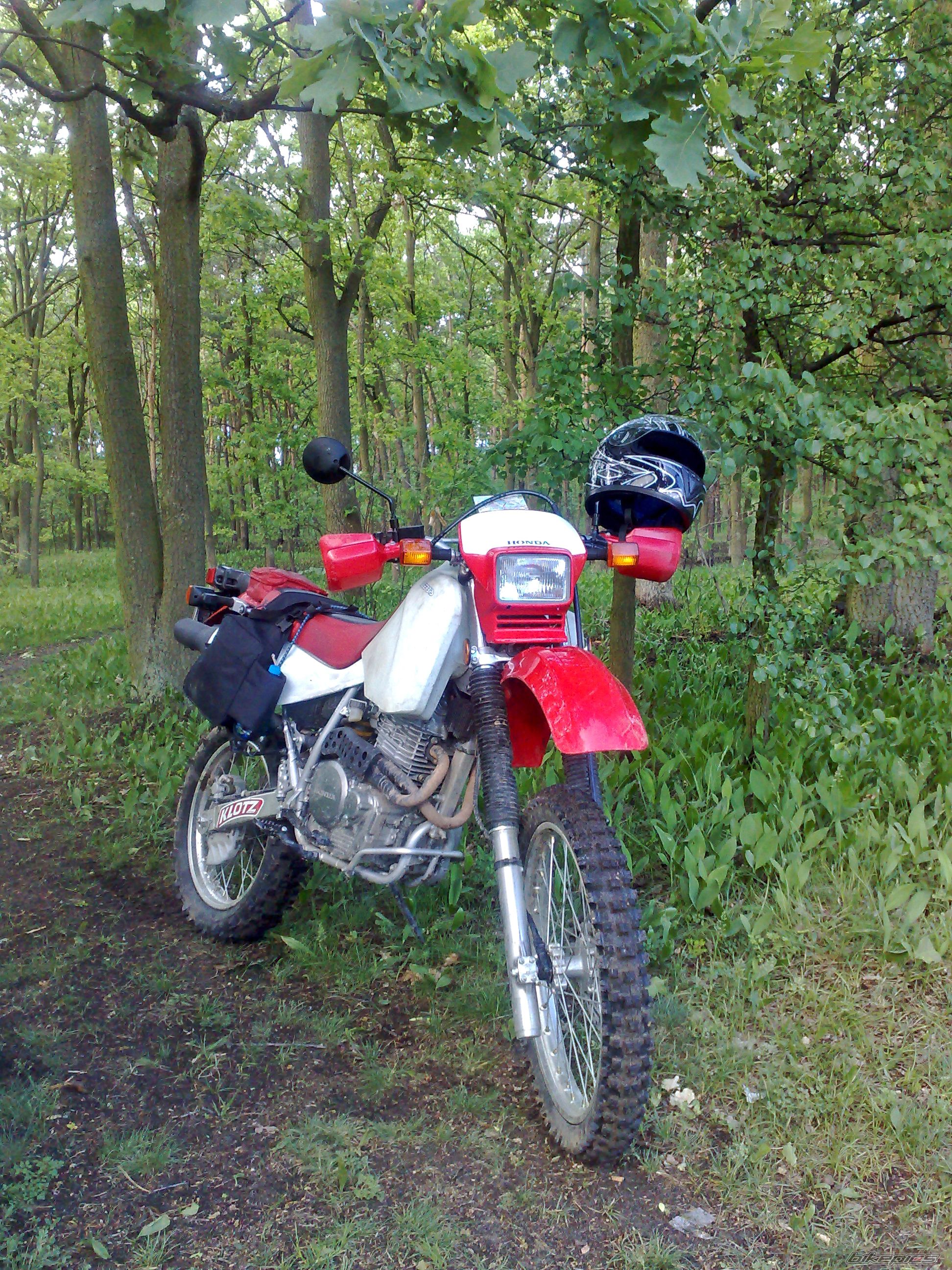 Photo 1676397