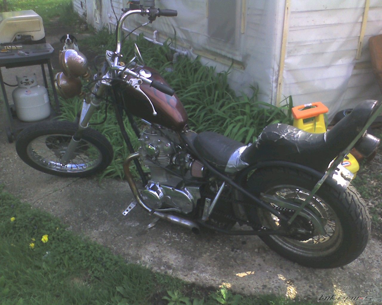 Photo 1676432