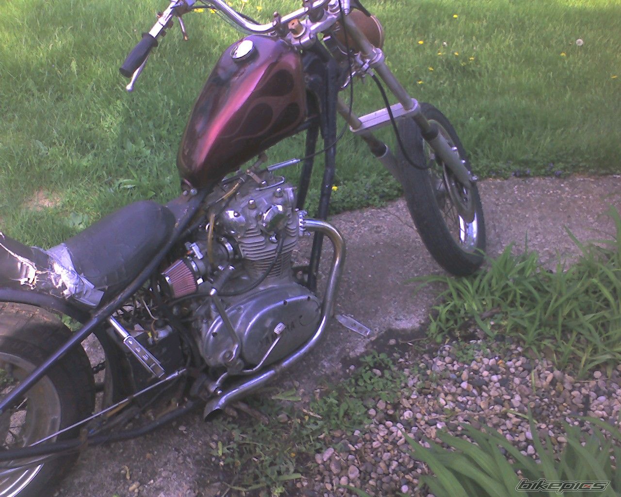 Photo 1676435