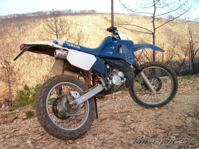 Photo 167652
