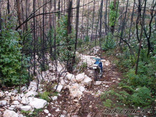 Photo 167653