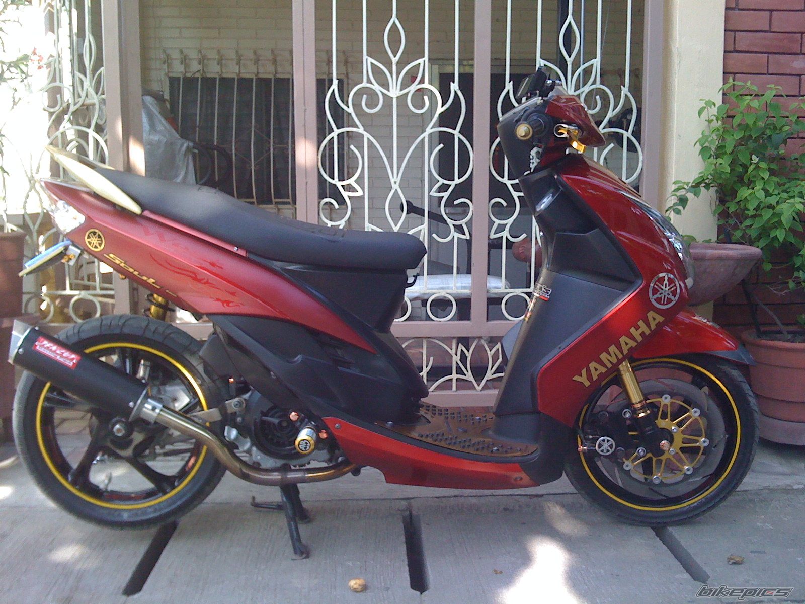 Photo 1676568