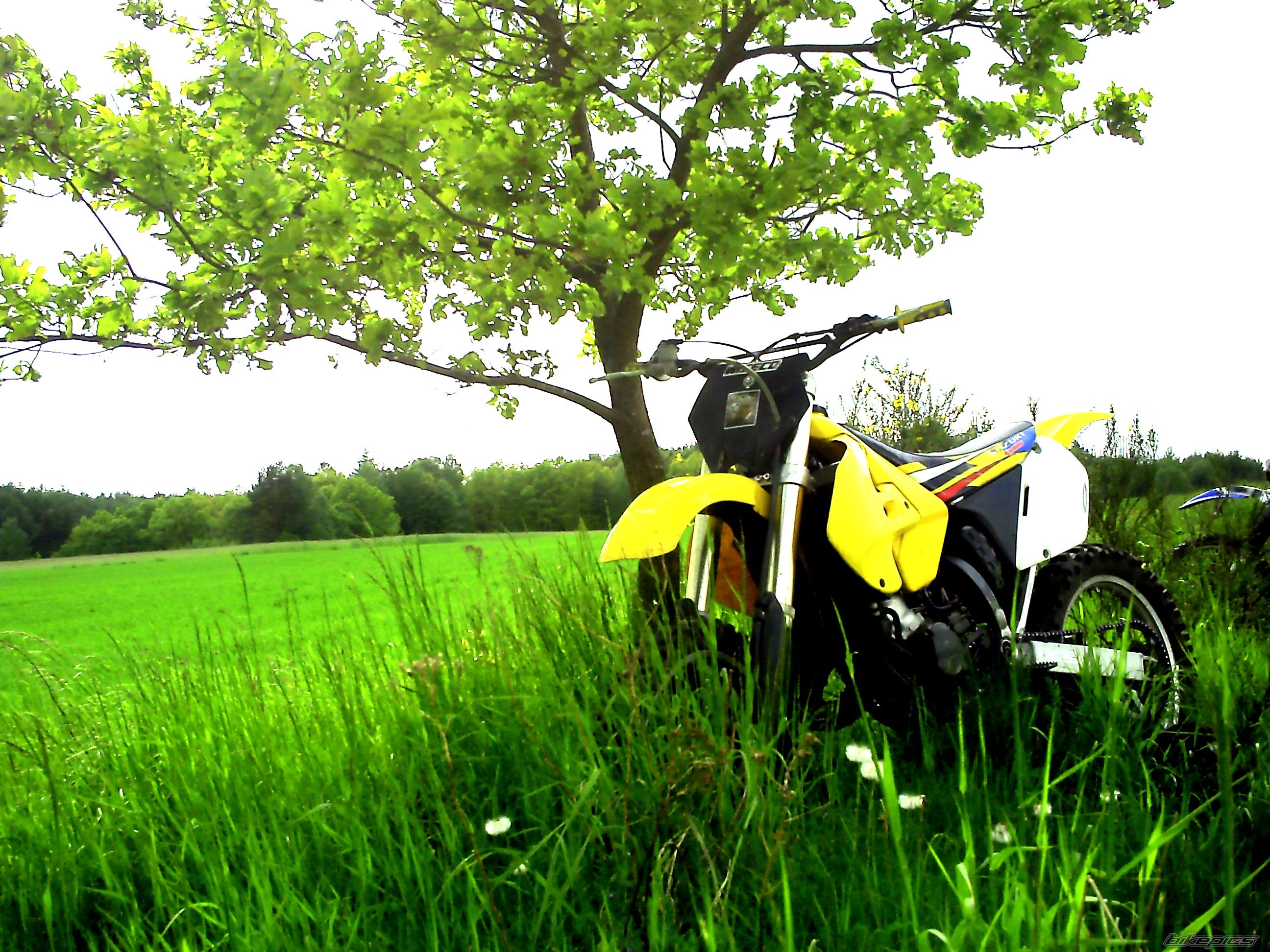 Bike Photo 1676698