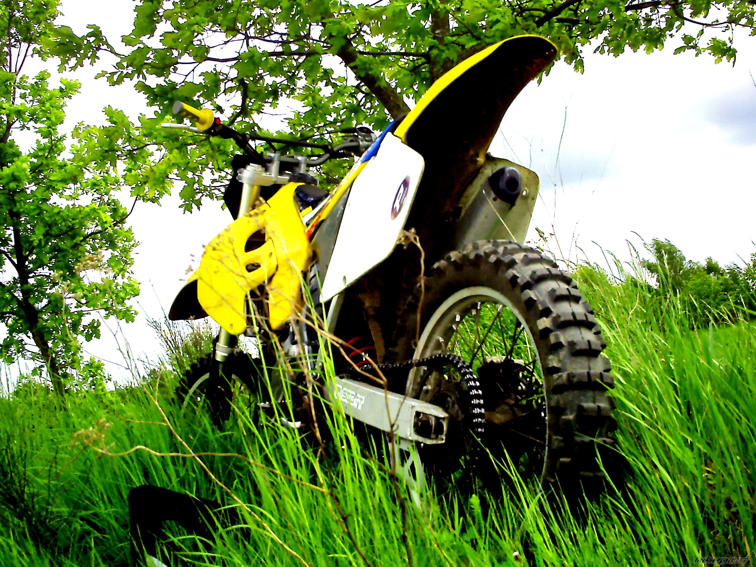 Photo 1676702