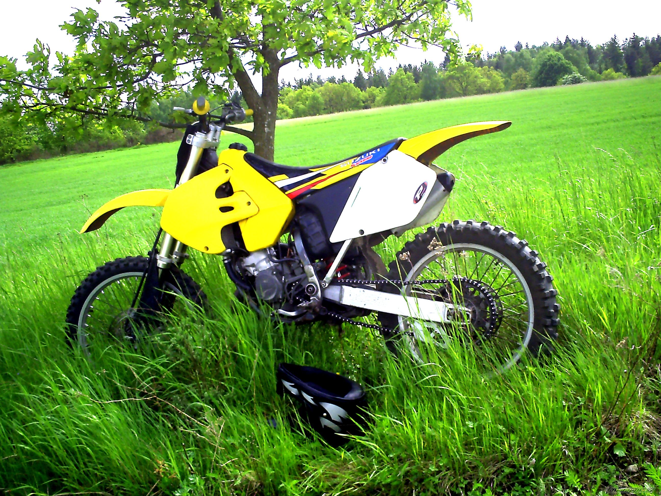 Photo 1676703
