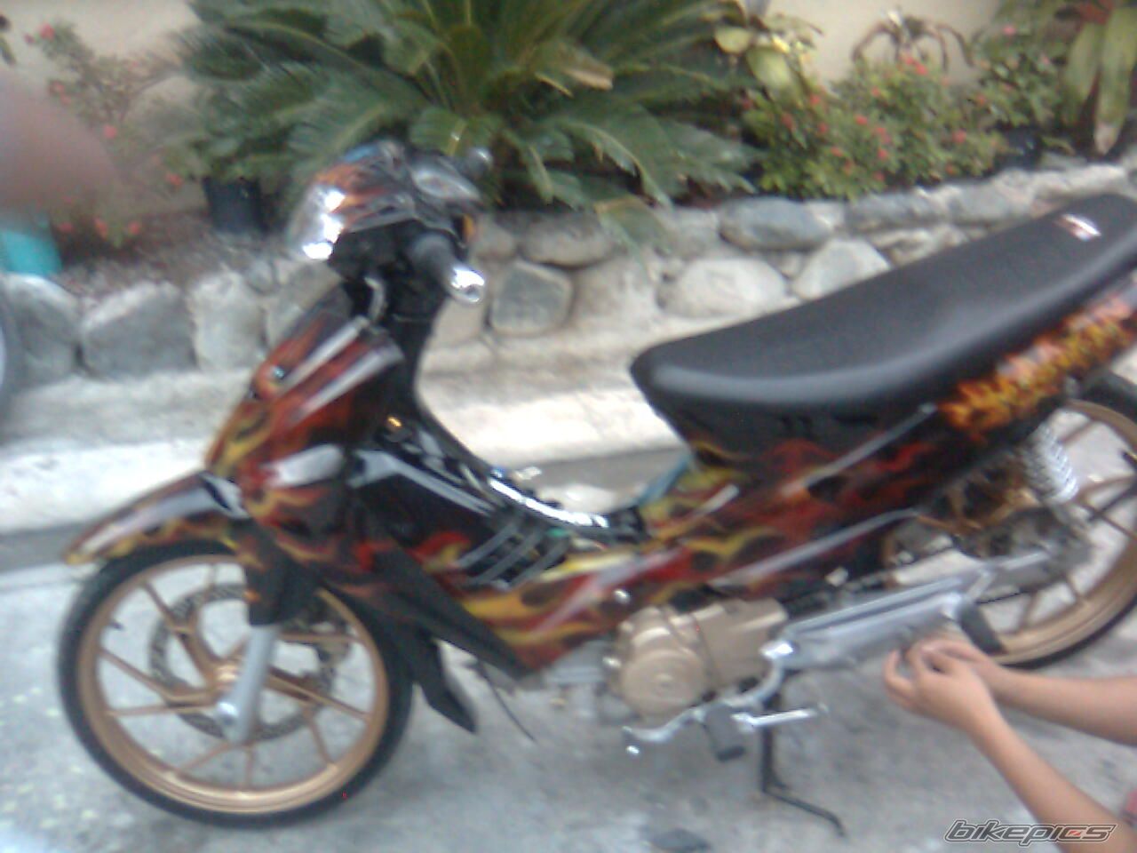 Photo 1676732