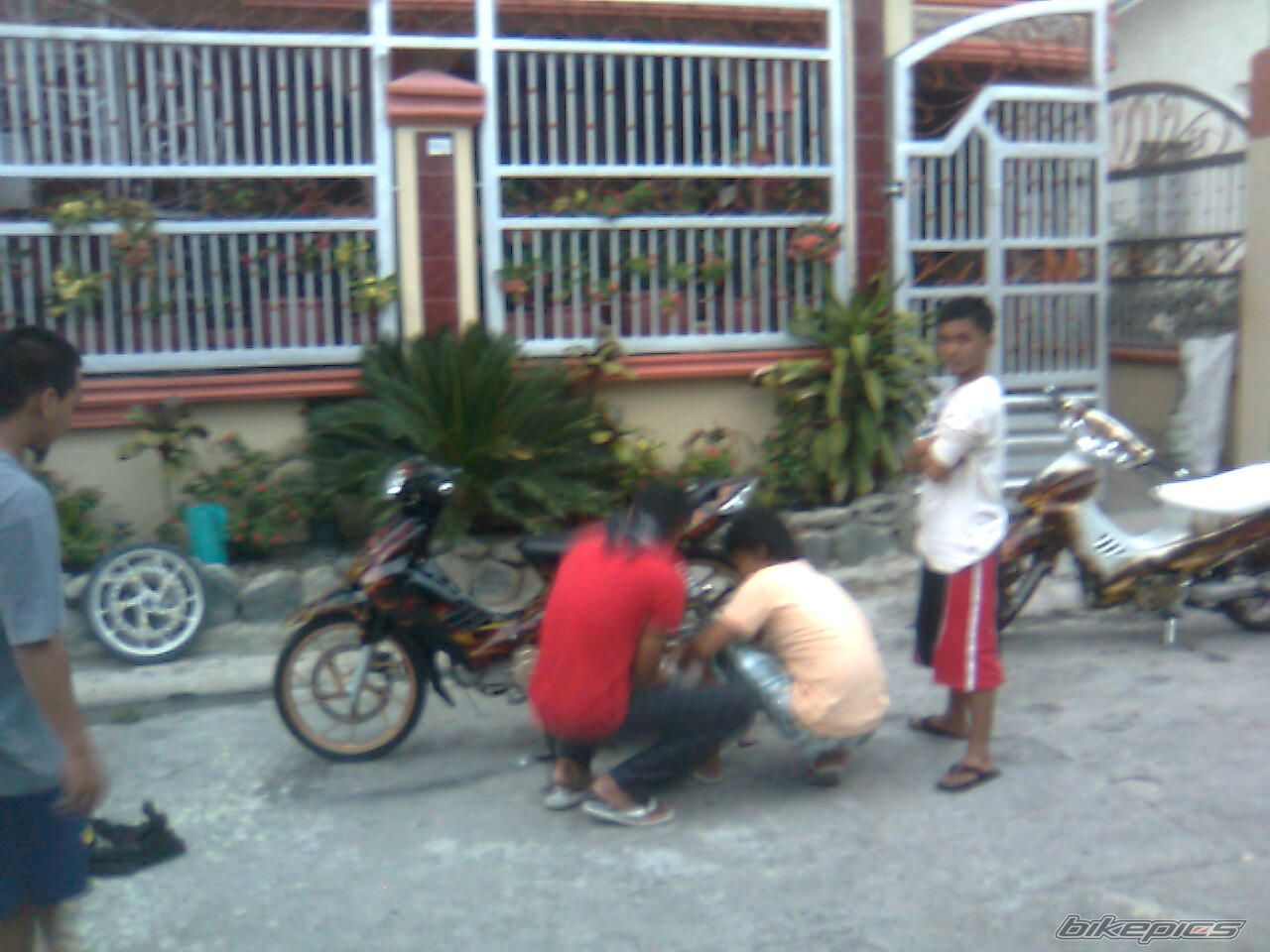 Photo 1676752