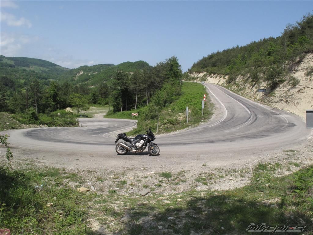 Photo 1676795