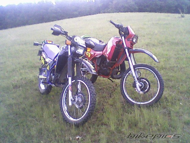 Photo 1676843