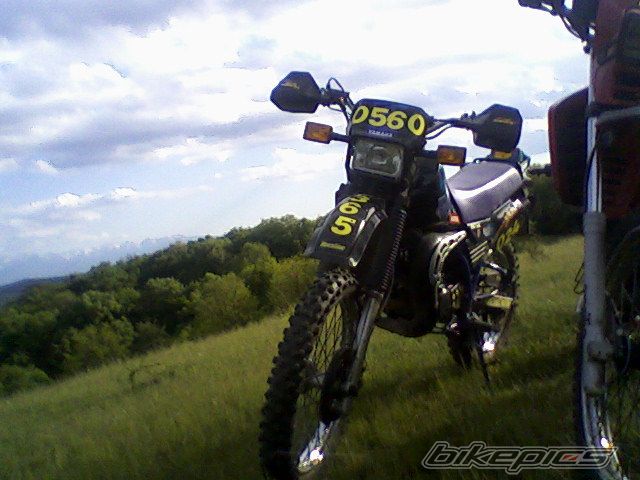 Photo 1676845