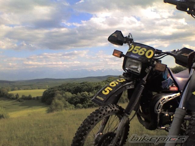 Photo 1676848
