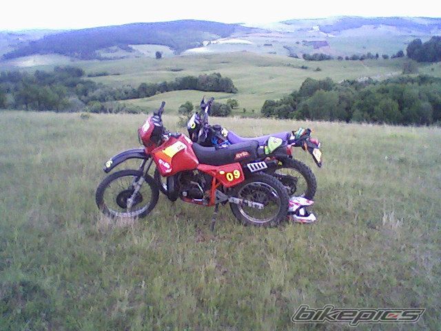 Photo 1676849