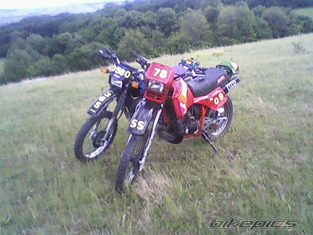 Photo 1676851