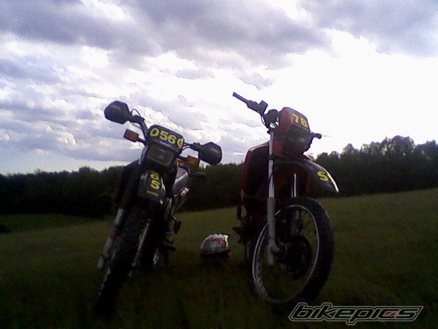 Photo 1676852