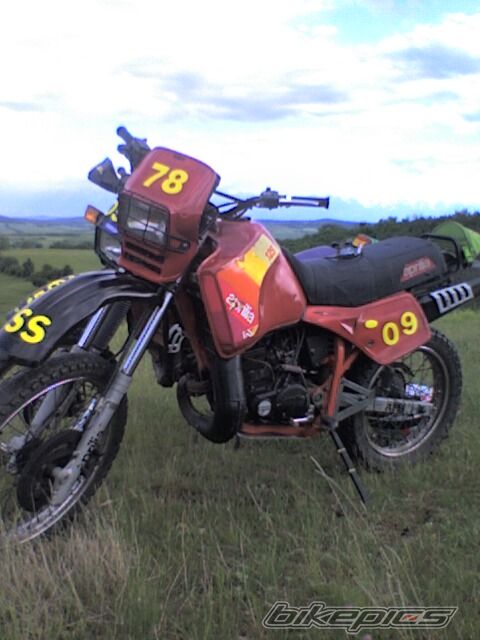 Photo 1676854