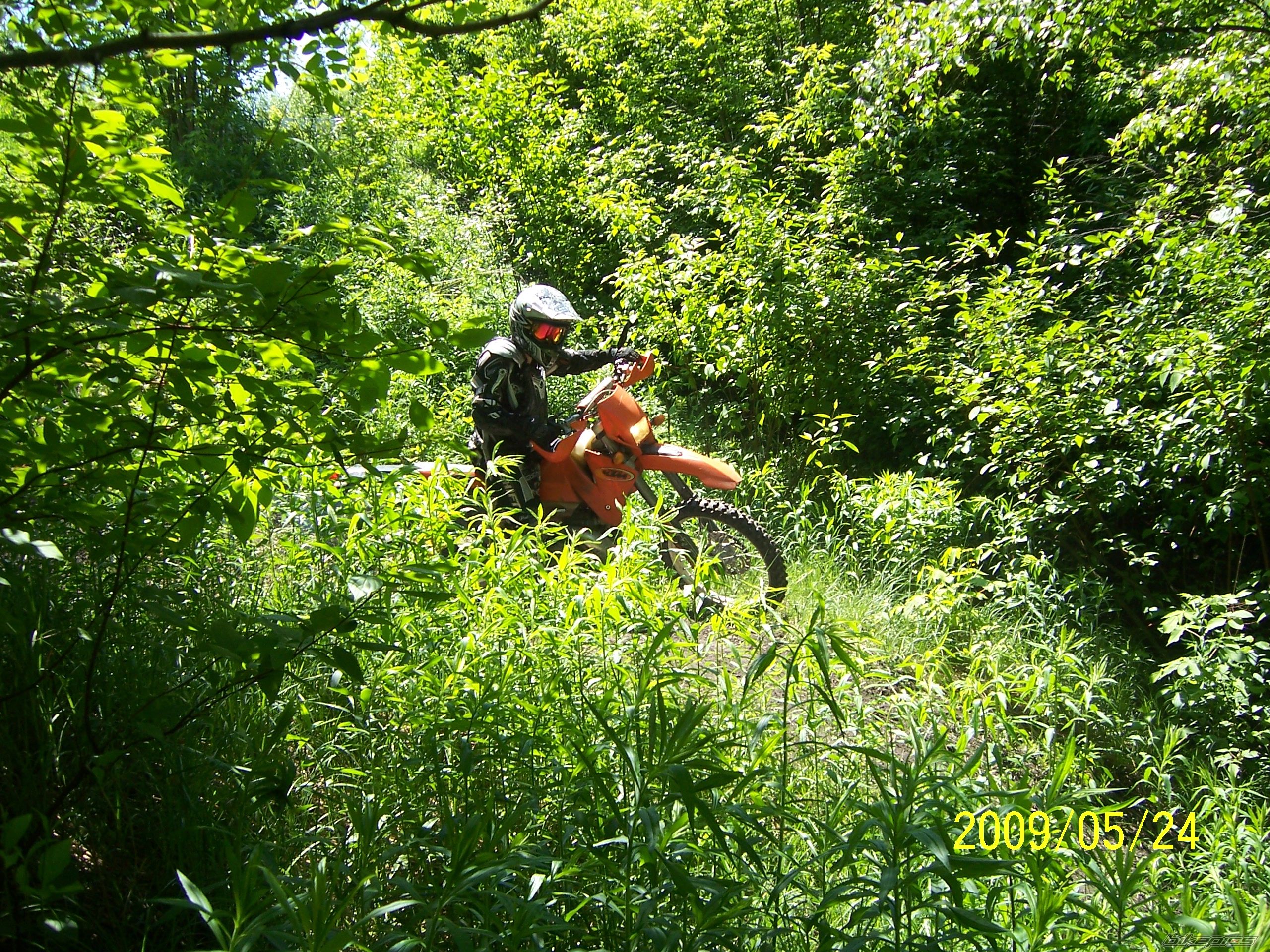 Photo 1676902