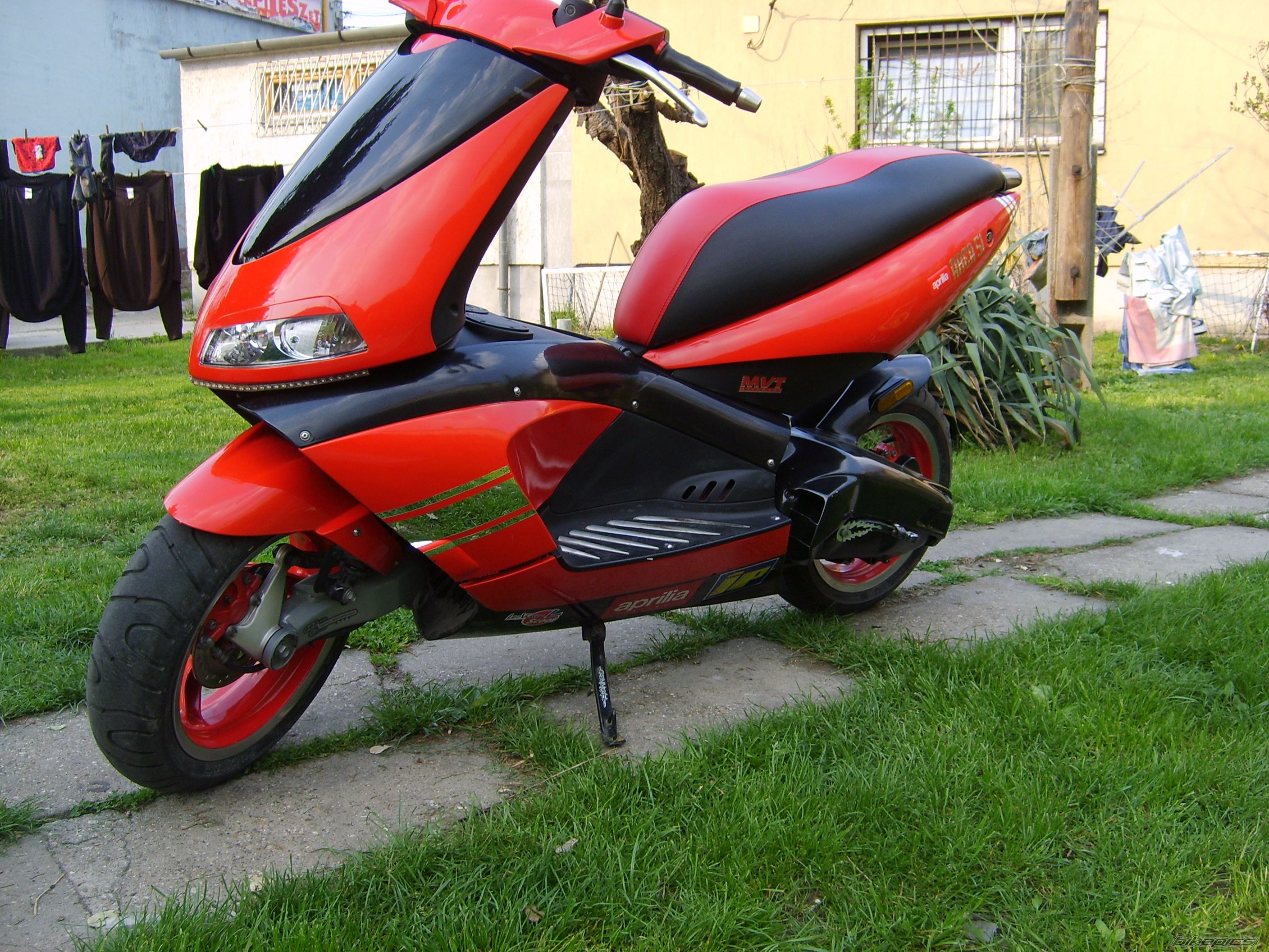 Photo 1677115
