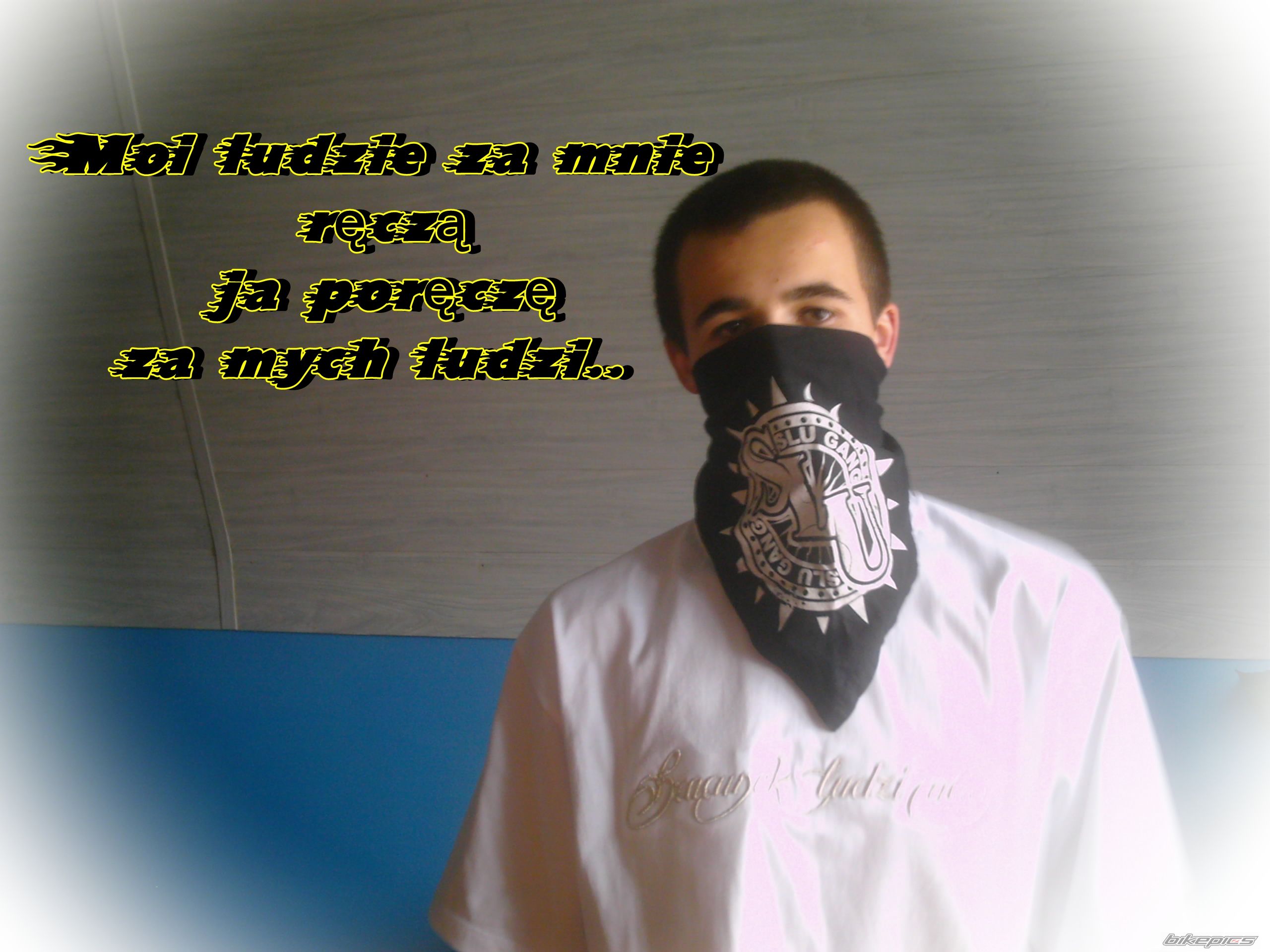 Photo 1677346