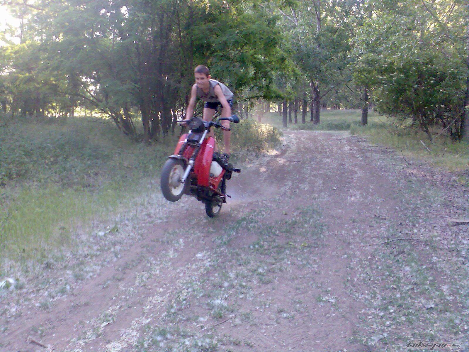 Photo 1677383