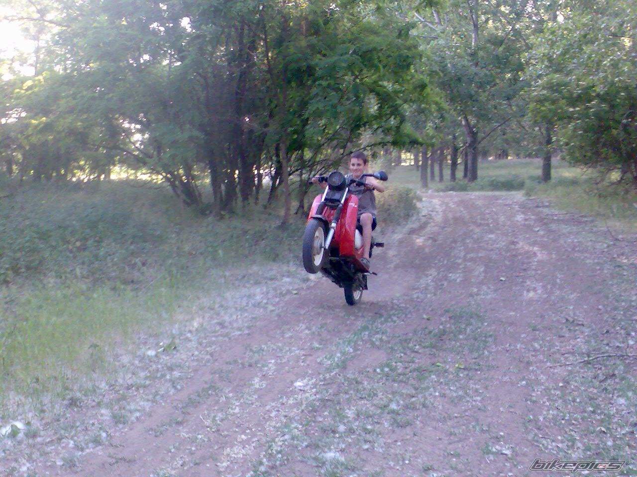 Photo 1677384